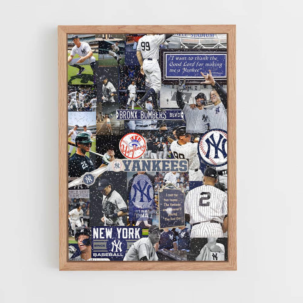 Poster La Passion du Baseball (vue 4)